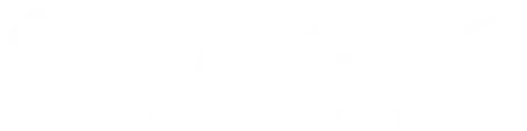 magno-capital